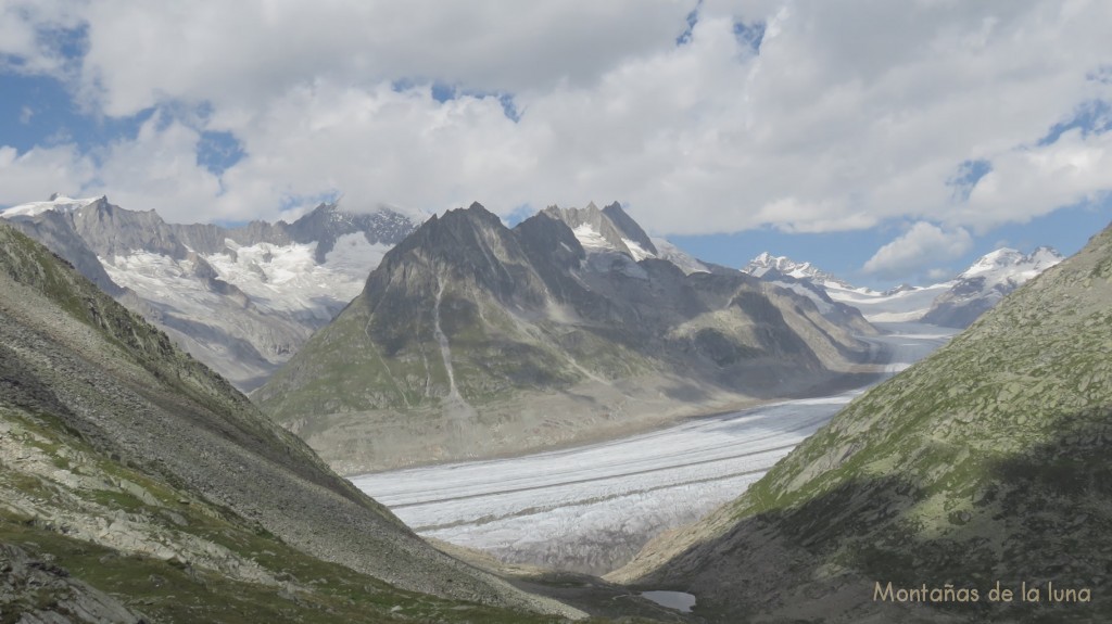 Abajo el Glacair Aletsch con el Jungfrau y Mönch al fondo derecha, y el Aletschhorn en el centro izquierda cubierto